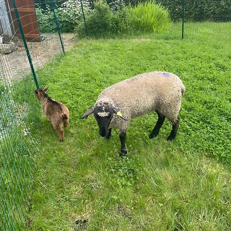 Gite "La Roucherie" 3 Etoiles En Cote D'Opale Lottinghen Kültér fotó